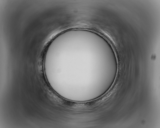 X0000099411455200805090716