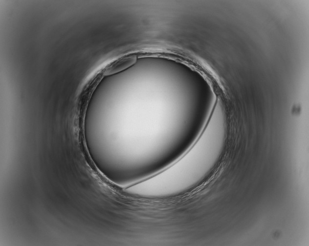 X0000099411456200805090716