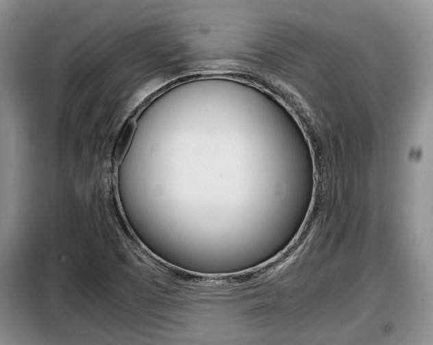 X0000099411457200805090716