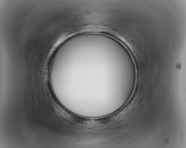 X0000099411459200805090716