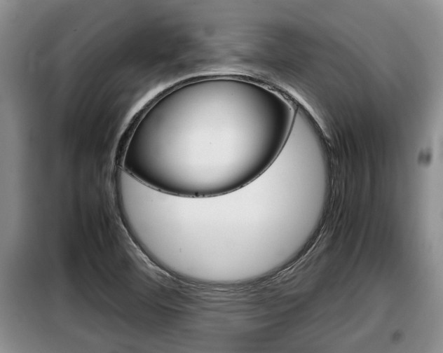 X0000099411460200805090716