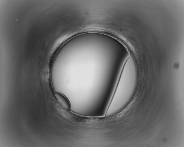 X0000099411461200805090716