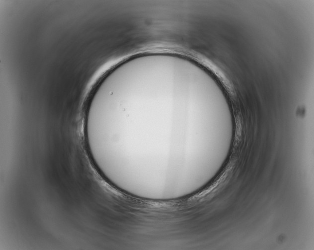 X0000099411462200805090716