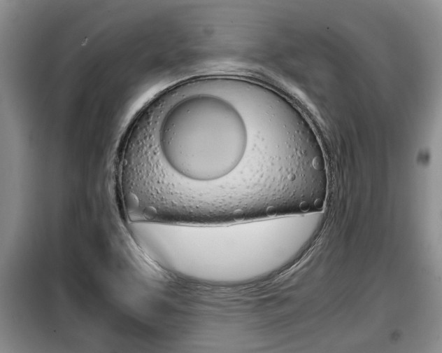 X0000099411463200805090716