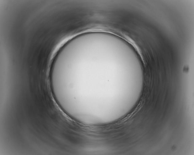 X0000099411464200805090716