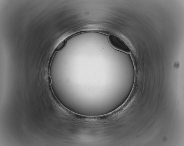 X0000099411465200805090716