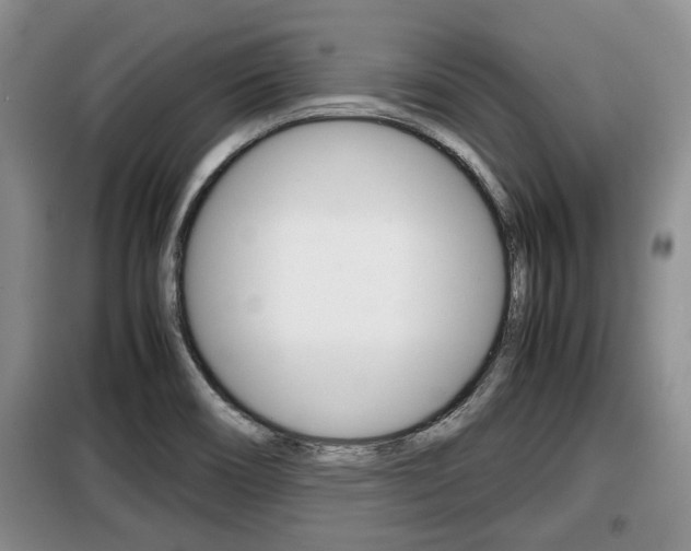 X0000099411466200805090716