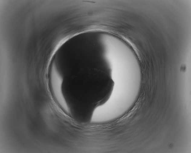 X0000099411467200805090716