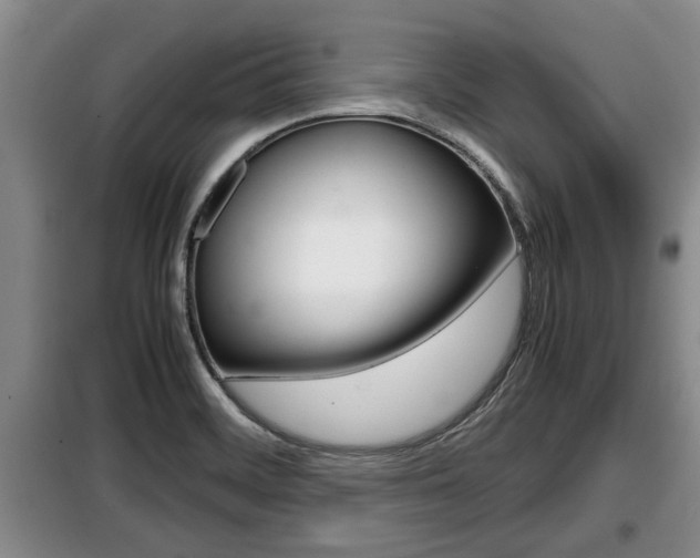X0000099411468200805090716