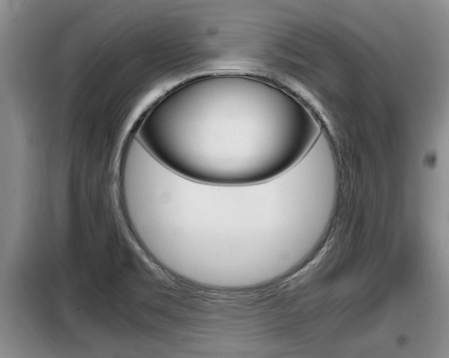X0000099411469200805090716