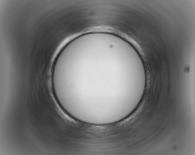 X0000099411470200805090716