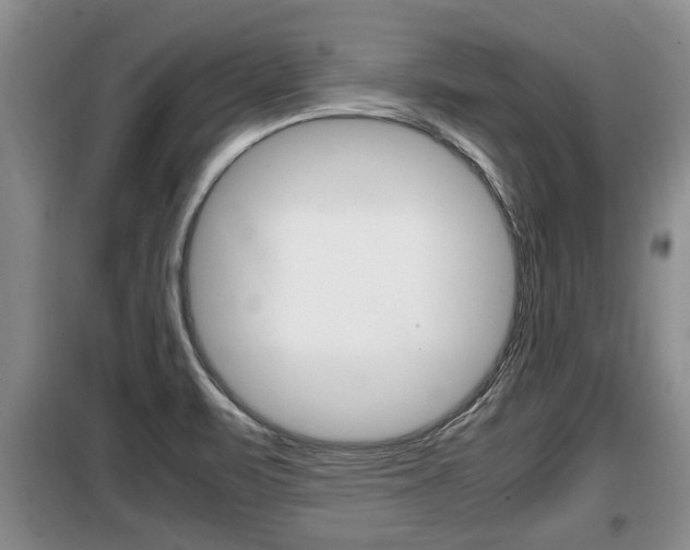 X0000099411471200805090716