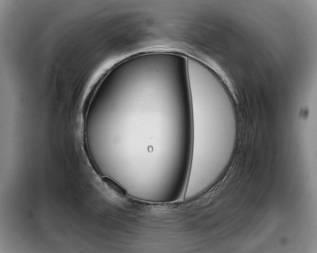 X0000099411472200805090716