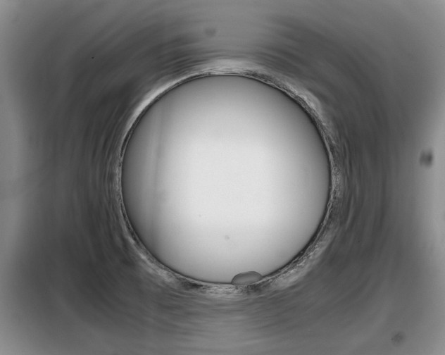 X0000099411473200805090716