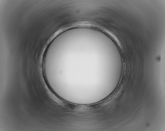 X0000099411475200805090716