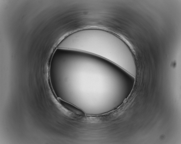 X0000099411476200805090716