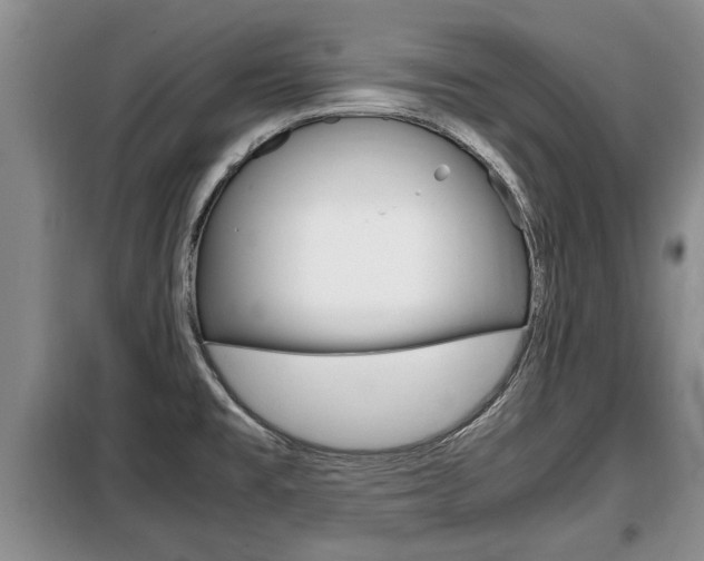 X0000099411477200805090716