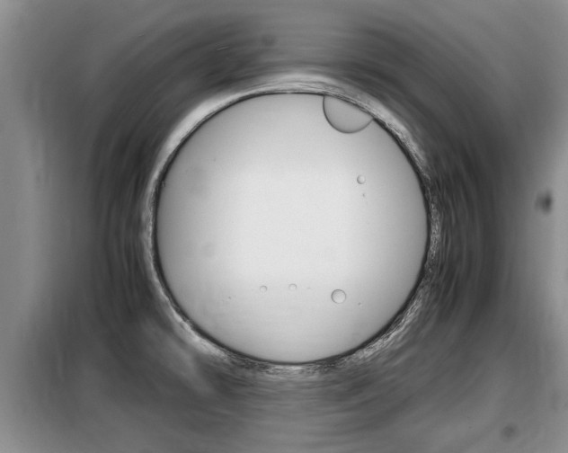 X0000099411478200805090716