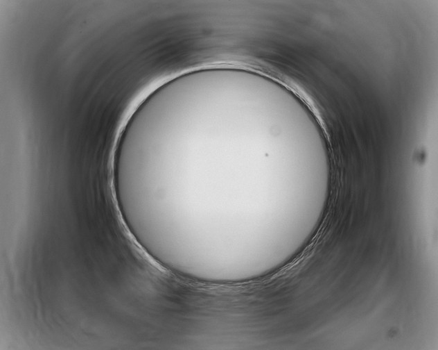 X0000099411480200805090716
