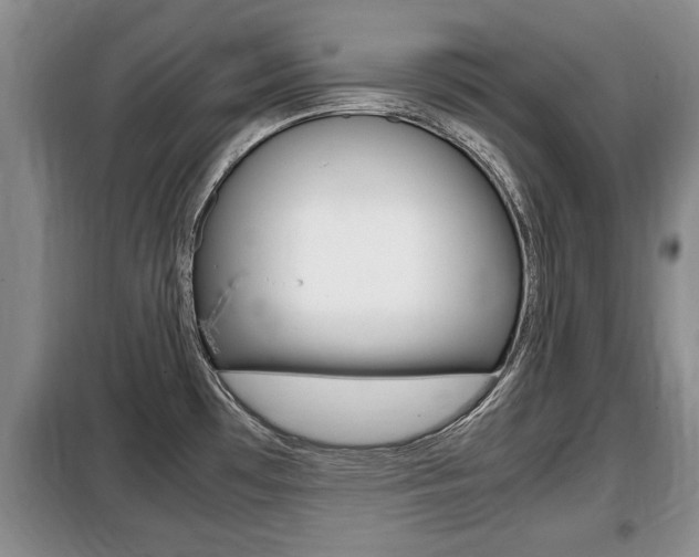 X0000099411481200805090716