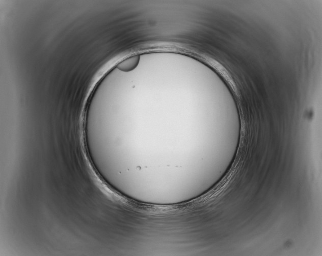 X0000099411482200805090716