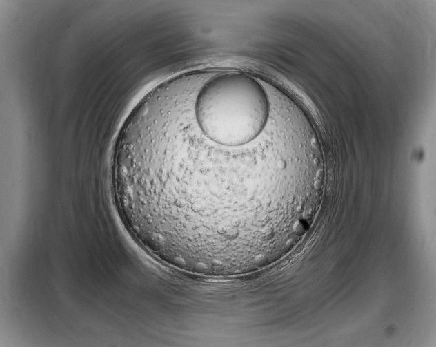X0000099411483200805090716