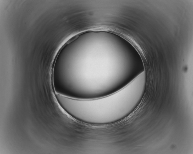 X0000099411484200805090716
