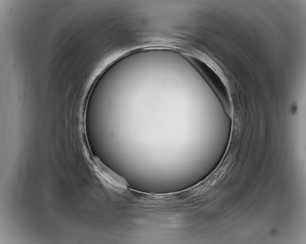 X0000099411485200805090716