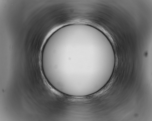 X0000099411486200805090716