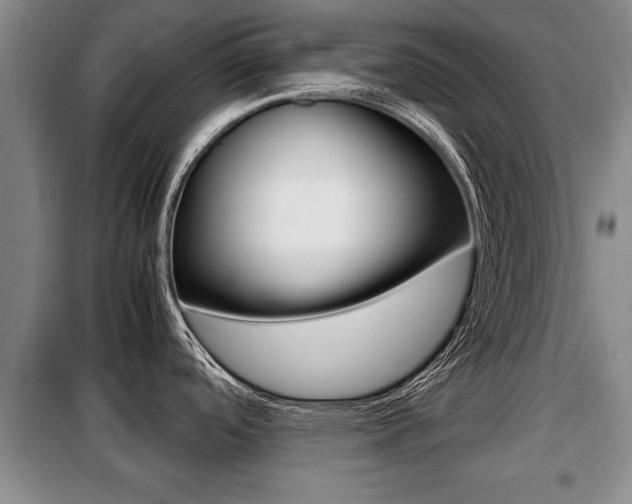 X0000099411488200805090716