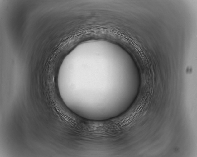 X0000099411489200805090715
