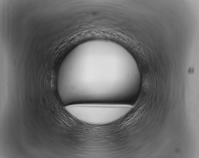 X0000099411490200805090715