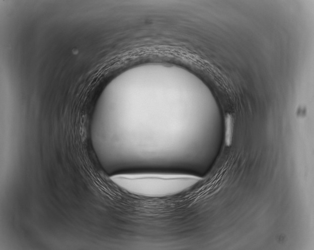 X0000099411491200805090715