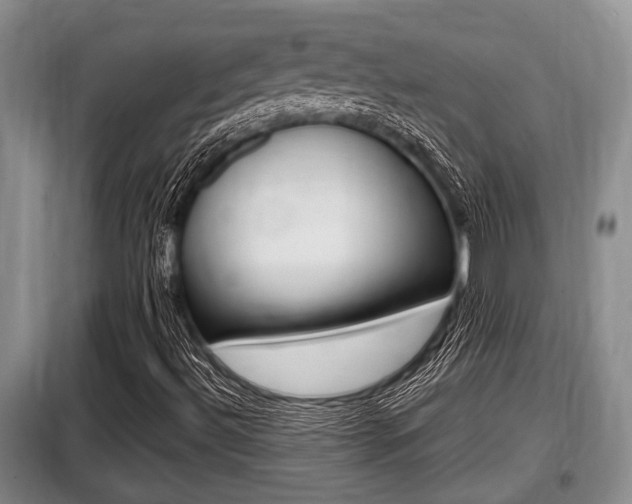 X0000099411492200805090715