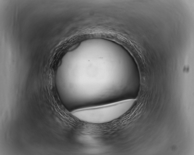 X0000099411493200805090715