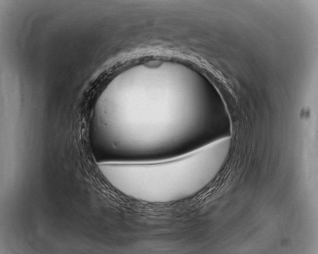 X0000099411495200805090715