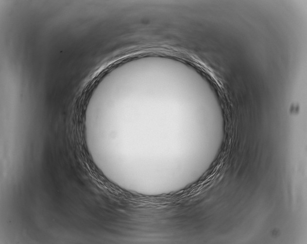 X0000099411496200805090715