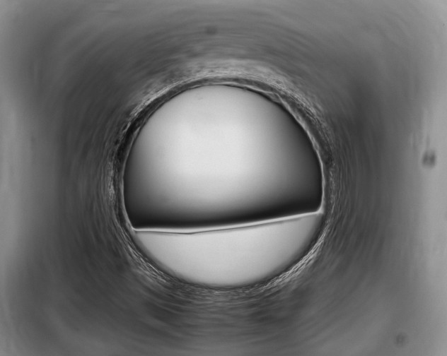 X0000099411497200805090715