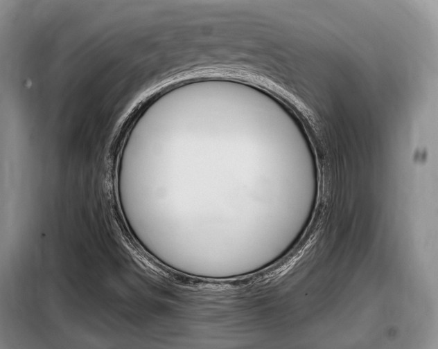 X0000099411498200805090715