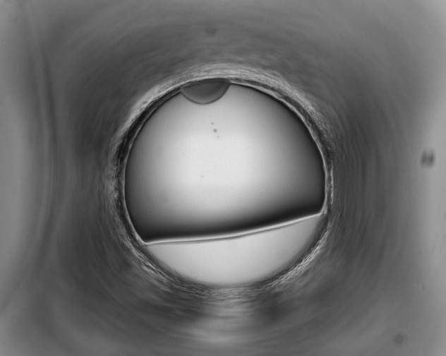 X0000099411501200805090715