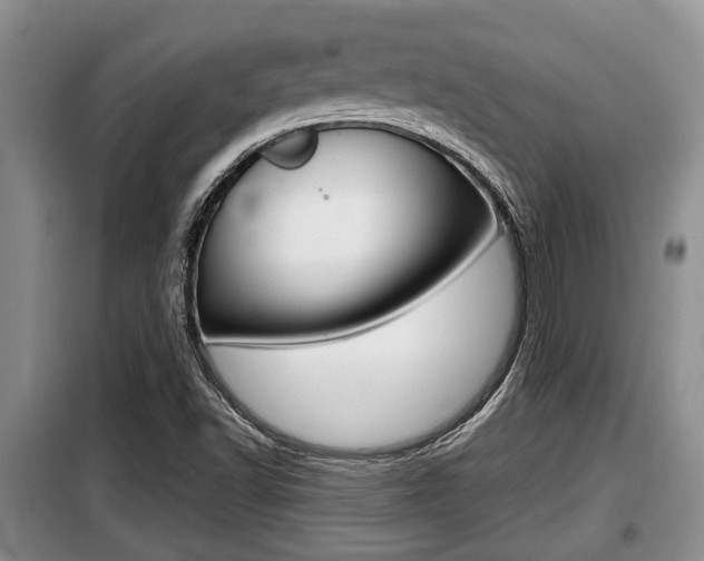 X0000099411502200805090715