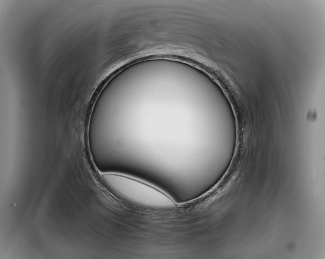 X0000099411505200805090715