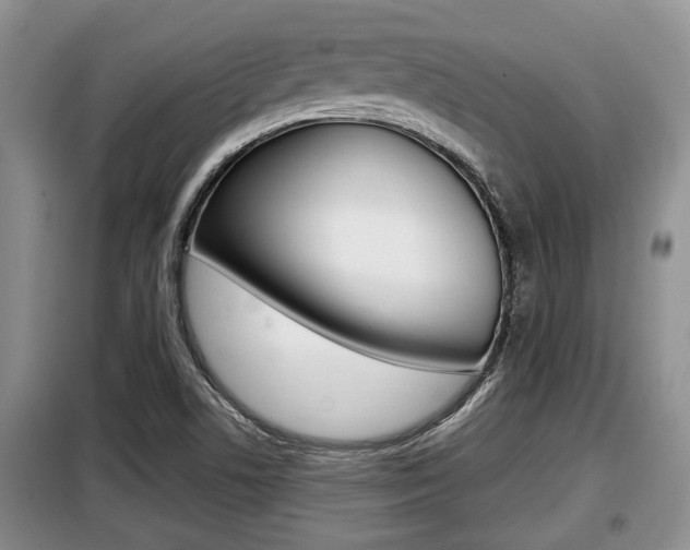 X0000099411506200805090715