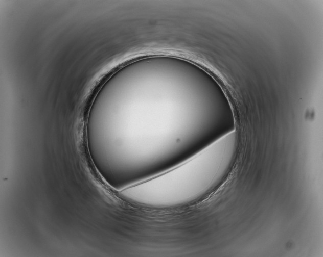 X0000099411507200805090715