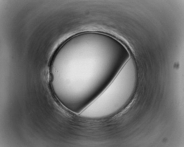 X0000099411509200805090715