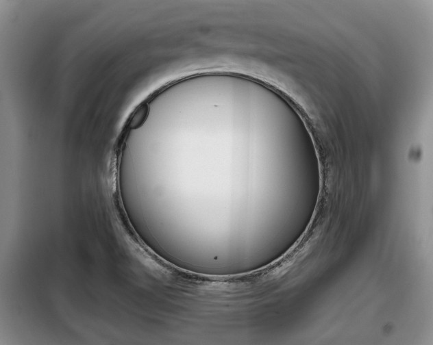 X0000099411510200805090715
