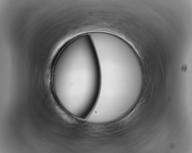 X0000099411511200805090715