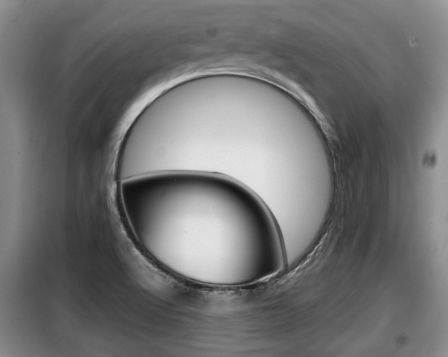 X0000099411512200805090715