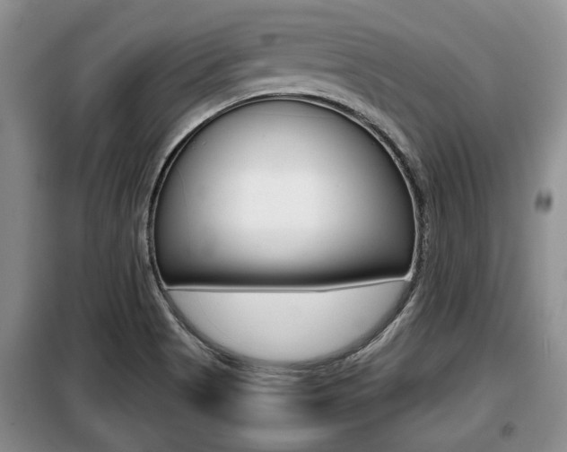 X0000099411513200805090715