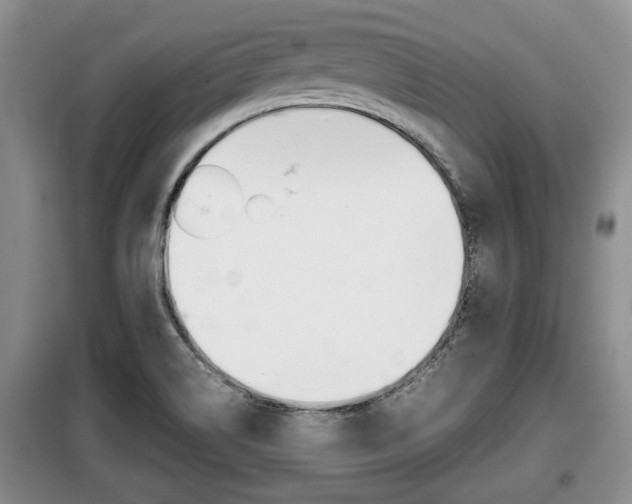 X0000099411514200805090715